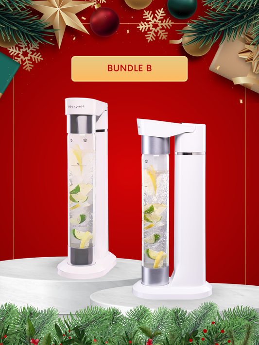 Christmas Bundle B: Swift + Swift